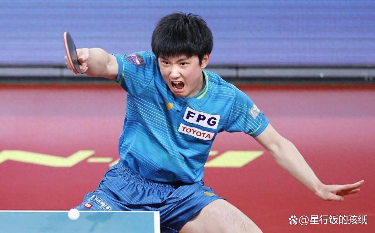 瑞典队完胜波兰队，张本智和高光表现